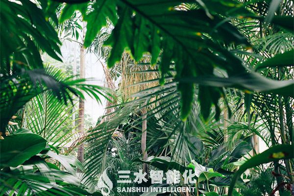 “雙碳”目標科技路線圖聚焦十大行動——科技部有關(guān)負責人解讀《科技支撐碳達峰碳中和實施方案(2022—2030年)》